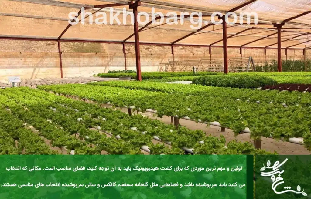 فضای مناسب کشت علوفه هیدروپونیک