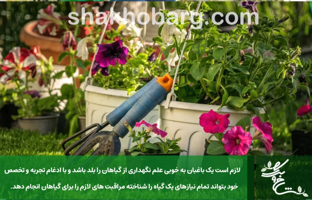 آموزش باغبانی