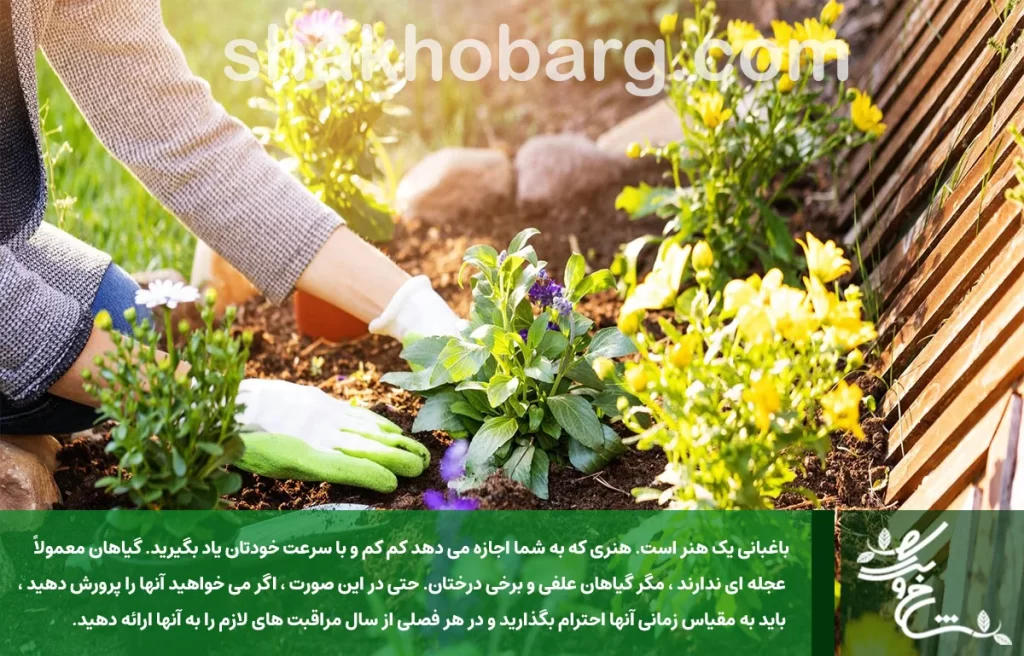 آموزش باغبانی و باغداری