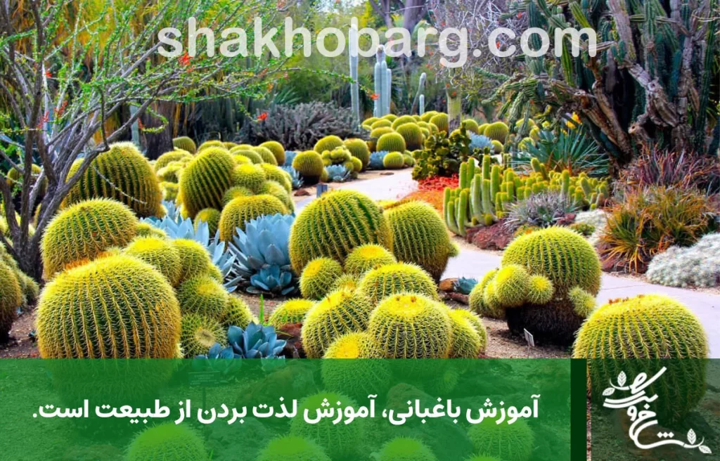 دوره آموزش باغبانی