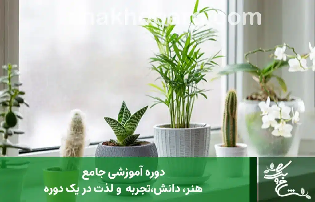 دوره آموزشی جامع گل و گیاه آپارتمانی