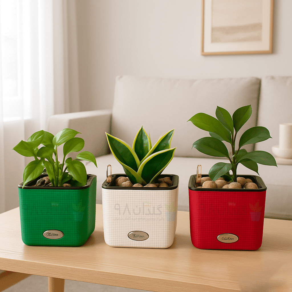 خرید گلدان برای گیاهان آپارتمانی
