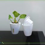 بهترین گلدان هیدروپونیک چیه؟