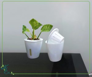 بهترین گلدان هیدروپونیک چیه؟