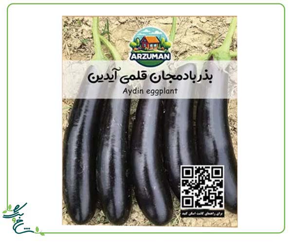 بذر بادمجان قلمی مشکی آیدین آرزومان بدون تخم