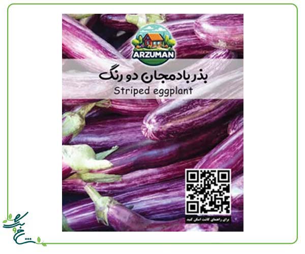 بذر بادمجان قلمی دو رنگ (راه راه) آرزومان